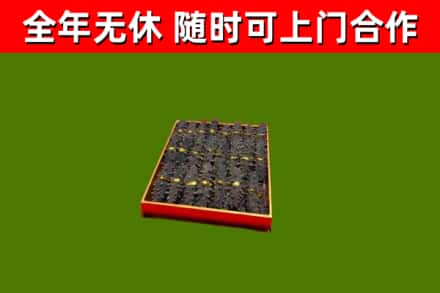 宁海县回收海参
